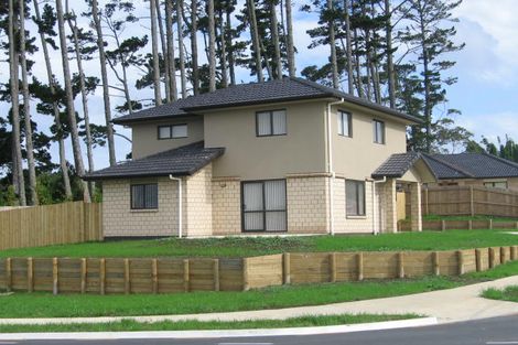 Photo of property in 53 Munroe Road, Ranui, Auckland, 0612