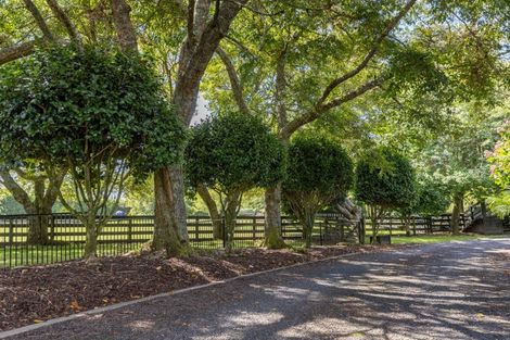 Photo of property in 1280 Omanawa Road, Omanawa, Tauranga, 3171