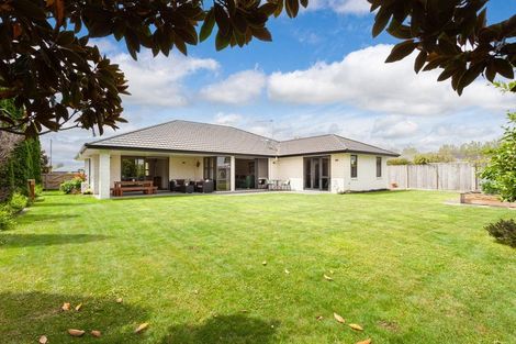 Photo of property in 3 Kelso Place, Matamata, 3400