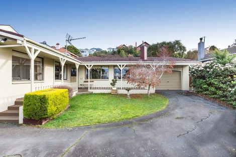 Photo of property in 21a Pacific Street, Roslyn, Dunedin, 9010