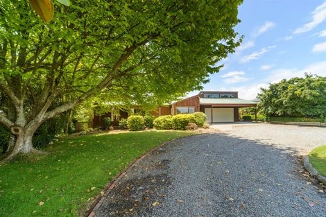 Photo of property in 40 Milne Street, Marton, 4710