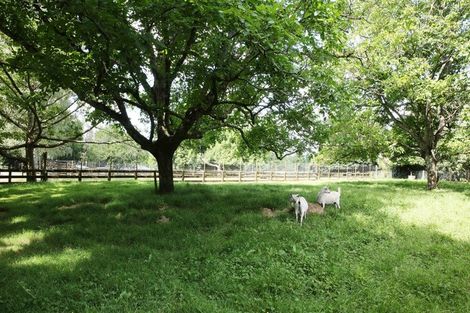 Photo of property in 179 Mcgregor Road, Ohaupo, 3882