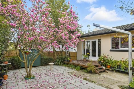 Photo of property in 79 Kawiu Road, Levin, 5510