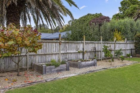 Photo of property in 14 Bronte Place, Leamington, Cambridge, 3432
