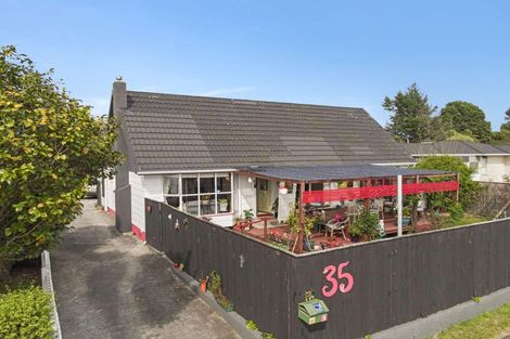 Photo of property in 35 Strathmore Avenue, Levin, 5510