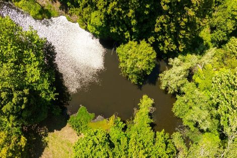 Photo of property in 244 Wharawhara Road, Tahawai, Katikati, 3178