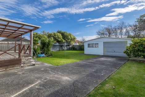 Photo of property in 45 Winchester Street, Levin, 5510