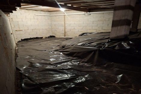 Photo of property in 19 Mcauley Road, Portobello, Dunedin, 9014