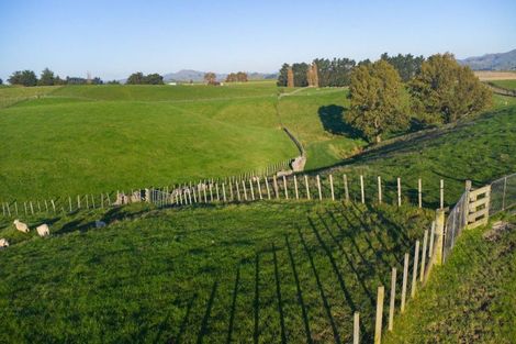 Photo of property in 180 Tipapakuku Road, Dannevirke, 4930