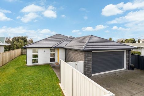 Photo of property in 47 Mcmaster Street, Greytown, 5712