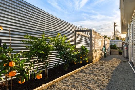 Photo of property in 19 Elm Street, Mangapapa, Gisborne, 4010