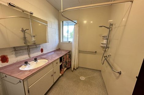 Photo of property in 224 Nixon Street, Hamilton East, Hamilton, 3216