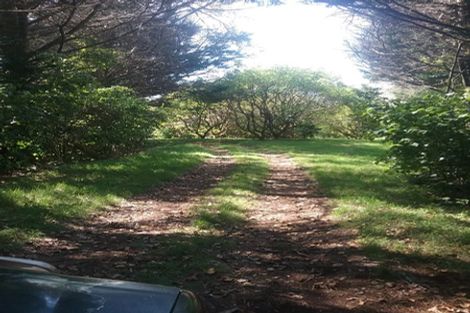 Photo of property in 88 Mark Road, Te Puke, 3188