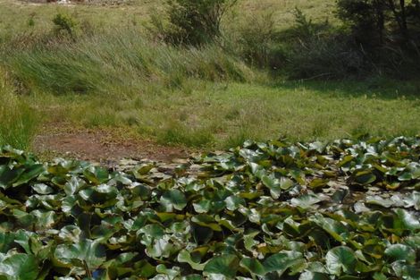 Photo of property in 43a Pinetone Road, Kumeu, 0892