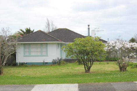 Photo of property in 9 Edinburgh Street, Levin, 5510