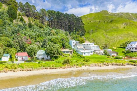 Photo of property in 202 Pourerere Beach Road, Aramoana, Omakere, 4271