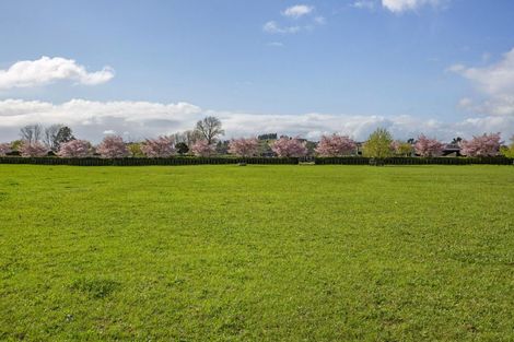 Photo of property in 373 Mystery Creek Road, Ohaupo, 3881
