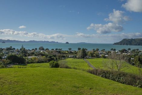 Photo of property in 925a Purangi Road, Cooks Beach, Whitianga, 3591