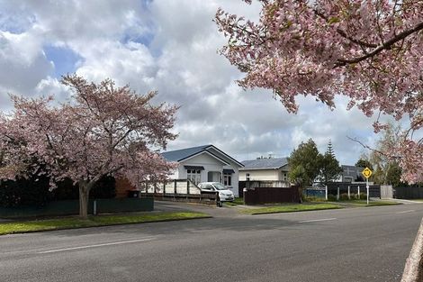 Photo of property in 27 Chelwood Street, Takaro, Palmerston North, 4412