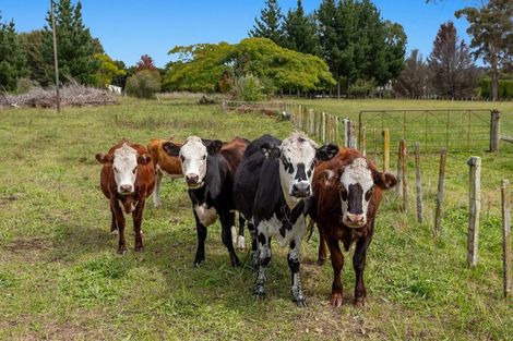 Photo of property in 350 Hallett Road, Otakiri, Whakatane, 3192