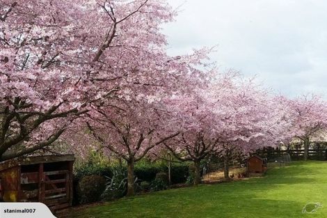 Photo of property in 519 Puniu Road, Te Awamutu, 3800