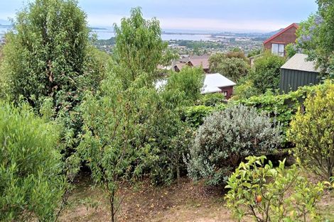 Photo of property in 39 Kihilla Road, Richmond, 7020