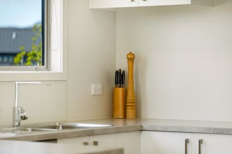 Photo of property in 12 Mount Burke Street, Wanaka, 9305