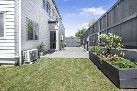 Photo of property in 1u1 Hibiscus Avenue, Hamilton Lake, Hamilton, 3204