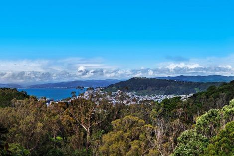 Photo of property in 128 Ohiro Road, Brooklyn, Wellington, 6021