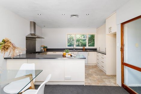 Photo of property in 51 Hope Street, Shirley, Christchurch, 8013