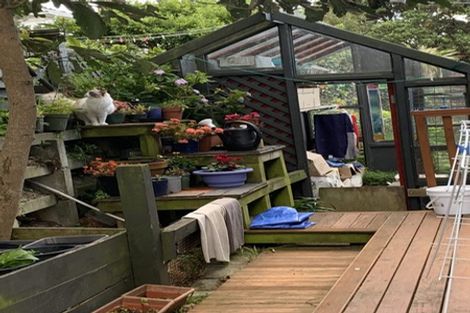 Photo of property in 39 Drummond Street, Mount Cook, Wellington, 6021