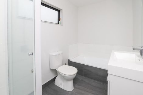 Photo of property in 195u3 Massey Street, Frankton, Hamilton, 3204