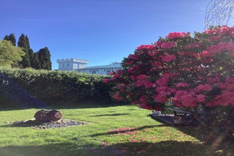 Photo of property in 17 Hinaki Street, Inner Kaiti, Gisborne, 4010