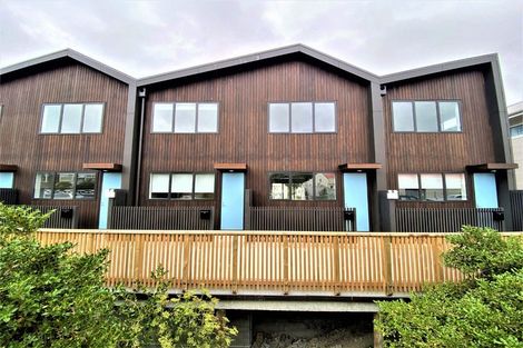 Photo of property in Aniva Terrace, 32 Ferguson Street, Newtown, Wellington, 6021