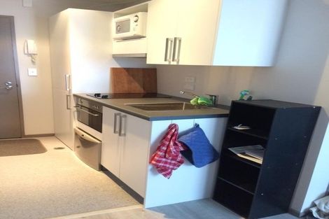 Photo of property in Dual Apartments, 108/142u Vivian Street, Te Aro, Wellington, 6011