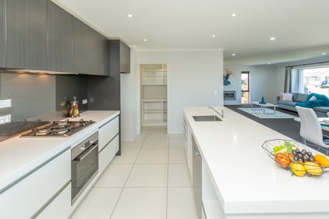 Photo of property in 1 Quartz Drive, Rolleston, 7614