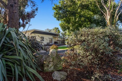 Photo of property in 95 White Pine Bush Road, Awakeri, Whakatane, 3192