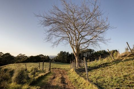 Photo of property in 15d Junction Road, Minden, Tauranga, 3176