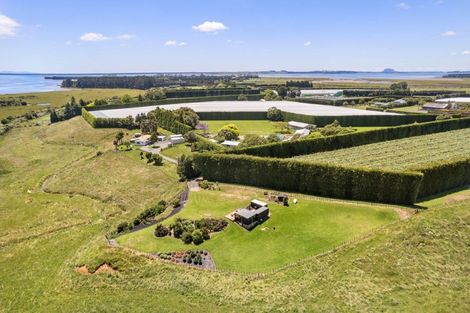 Photo of property in 115 Matahui Road, Aongatete, 3181