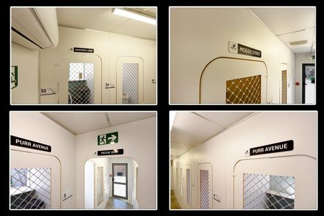 Photo of property in 740 Main Rd Stoke, Stoke, Nelson, 7011