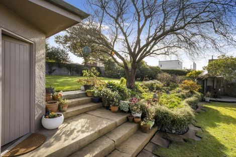 Photo of property in 8 Neidpath Road, Mornington, Dunedin, 9011