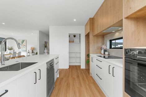 Photo of property in 1 Mccormick Lane, Rolleston, 7615