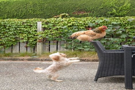 Photo of property in 76 Sunderland Street, Clyde, 9330