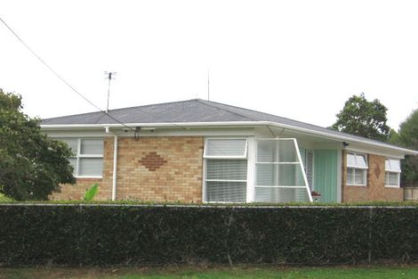 Photo of property in 25 Statesman Street, Henderson, Auckland, 0612