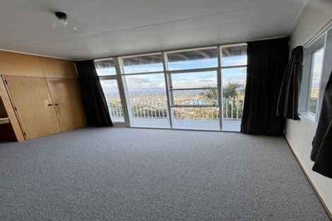 Photo of property in 115 Hornsey Road, Melrose, Wellington, 6023