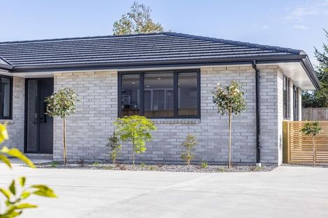 Photo of property in 6a Saint Annes Street, Levin, 5510