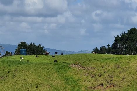 Photo of property in 247 Kaihau Road, Karioitahi, Waiuku, 2683