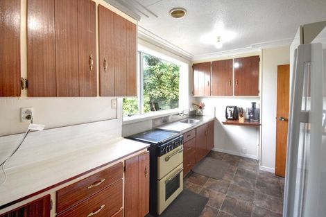 Photo of property in 3 Lees Street, Dunedin Central, Dunedin, 9016