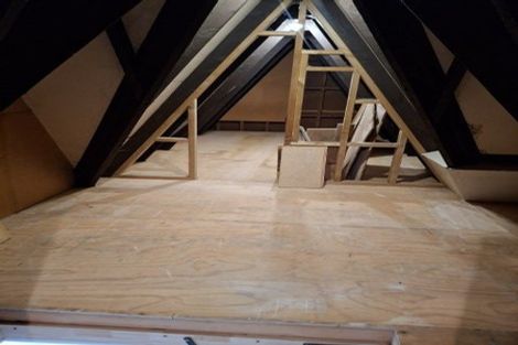 Photo of property in 19 Mcauley Road, Portobello, Dunedin, 9014