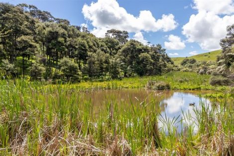 Photo of property in 1310 Old North Road, Helensville, 0875